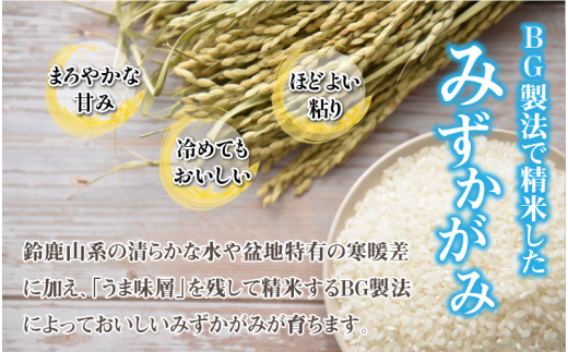 【令和6年産】【定期便10回】 BG無洗米 みずかがみ 計100kg（10kg × 10回）[I-00402]