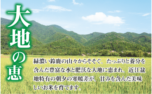 【令和6年産】【定期便10回】 BG無洗米 みずかがみ 計100kg（10kg × 10回）[I-00402]