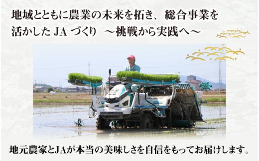 【令和6年産】【定期便10回】 BG無洗米 みずかがみ 計100kg（10kg × 10回）[I-00402]