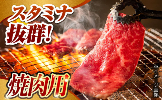 【月1回約1kg×3回定期便】長崎和牛 ロース食べ比べ（焼肉用、すき焼き・しゃぶしゃぶ用各約500gずつ） 計3kg 長崎県/長崎県農協直販 [42ZZAA180]  肉 牛 和牛 ロース 焼肉 焼き肉 すき焼き しゃぶしゃぶ 食べ比べ 西海市 長崎 九州 定期便