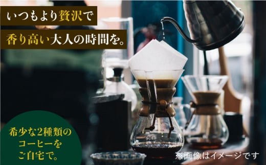 【12回定期便】ジャコウネココーヒー100g&ウイスキー樽熟成コーヒーセット100g≪粉タイプ≫×12回【ラオジャパン合同会社】 [FBR052]