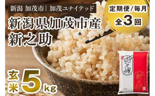 【令和6年産新米先行予約】【定期便3ヶ月毎月お届け】新潟県産 新之助 玄米5kg 《5kg×1袋》 新潟 ブランド米 加茂市 加茂ユナイテッド