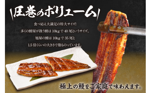 国産特大うなぎ長焼き２尾(約２５０ｇ)　合計５００ｇ以上（1663）