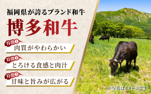 【6回定期便】小分け大容量 博多和牛 切り落とし 1kg (500g×2パック) 【馬庵このみ】和牛 牛肉 切り落とし 小分け 肉 不揃い 大容量 すき焼き 定期便