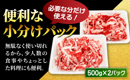 【6回定期便】小分け大容量 博多和牛 切り落とし 1kg (500g×2パック) 【馬庵このみ】和牛 牛肉 切り落とし 小分け 肉 不揃い 大容量 すき焼き 定期便