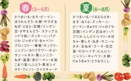 季節のお野菜詰め合わせセット 定期便 春夏秋冬年4回 旬野菜 1回あたり10品 セット 詰め合わせ 野菜 旬 おまかせ 新鮮 やさい レシピ付き 高知県 室戸市