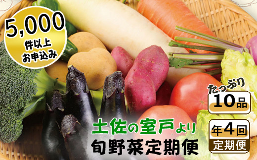 季節のお野菜詰め合わせセット 定期便 春夏秋冬年4回 旬野菜 1回あたり10品 セット 詰め合わせ 野菜 旬 おまかせ 新鮮 やさい レシピ付き 高知県 室戸市