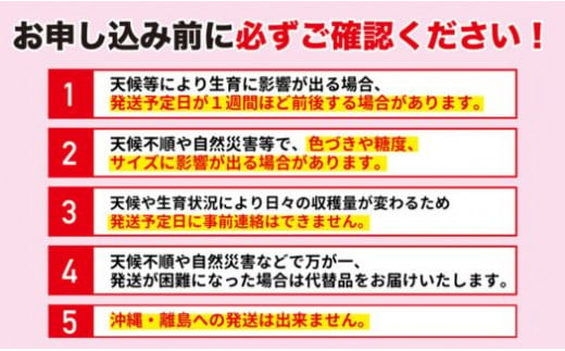 No.1716梨　なし　豊水　約3kg　【2025年発送　先行予約】