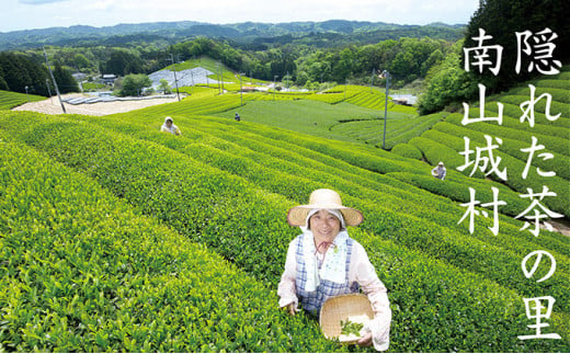 【宇治抹茶スイーツ】抹茶の味がしっかりと味わえる　むらちゃアイス抹茶12個セット [№5299-0042]