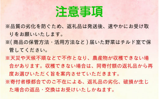 【6月発送分】【農家直送】「大野市の野菜セット」《農家が自分で食べるために育てた野菜のおすそ分け》