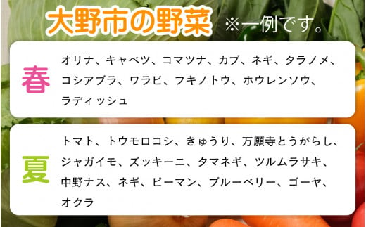 【6月発送分】【農家直送】「大野市の野菜セット」《農家が自分で食べるために育てた野菜のおすそ分け》