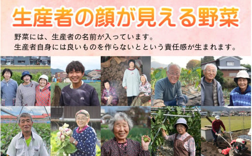 【6月発送分】【農家直送】「大野市の野菜セット」《農家が自分で食べるために育てた野菜のおすそ分け》