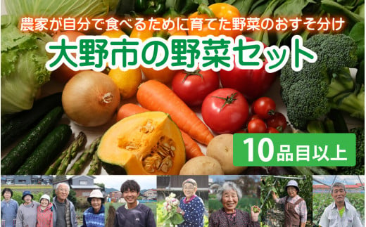 【6月発送分】【農家直送】「大野市の野菜セット」《農家が自分で食べるために育てた野菜のおすそ分け》