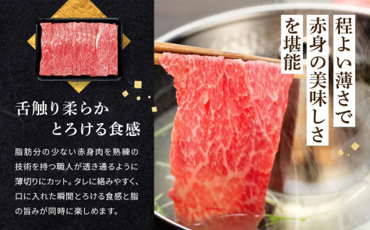 和歌山産 高級和牛『熊野牛』赤身しゃぶしゃぶ用 約600g【EG13】