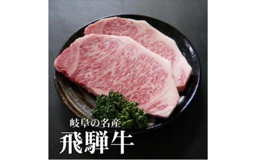 A5等級飛騨牛:サーロインステーキ用600g【1538390】