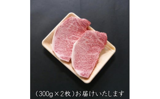 A5等級飛騨牛:サーロインステーキ用600g【1538390】