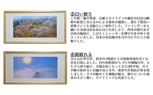 【原生林物語】写真フレーム【久万材フレーム入り風景写真 842mm×442mm】｜ 絵画 久万 石鎚 風景 景色 アート作品 額縁 手作り 木工 ヒノキ 手仕事　※離島への配送不可