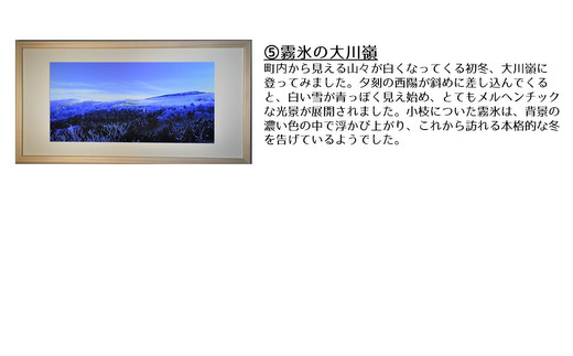 【原生林物語】写真フレーム【久万材フレーム入り風景写真 842mm×442mm】｜ 絵画 久万 石鎚 風景 景色 アート作品 額縁 手作り 木工 ヒノキ 手仕事　※離島への配送不可