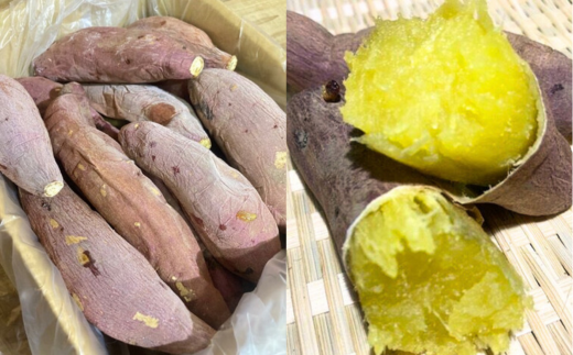 【先行予約 12月中旬以降発送】茨城県産 熟成 壺焼き芋 1kg 冷凍配送｜冷凍焼き芋 やきいも 焼き芋 焼いも スイーツ ダイエット 小分け ギフト プレゼント 国産 無添加 茨城県産 さつまいも サツマイモ お芋 いも おやつ 干し芋 石焼き芋 紅はるか シルクスイート 紅はるか ねっとり 甘い 完熟 熟成 冷凍 冷やし焼き芋