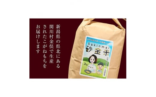 秘境の地で生産 砂金米 こがねもち精米2kg【1441587】