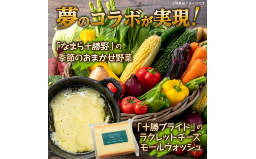 北海道十勝芽室町 なまら十勝野 季節のおまかせ野菜 ラクレットチーズ1ホール3,700g以上 セット　me000-006c