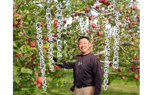 りんご 青森 サンふじ 王林 約 5kg (12～18玉) リンゴ 詰め合わせ セット 青森県 鰺ヶ沢町産 木村りんご園 フルーツ 果物 果物類 白神山地 林檎 サンフジ ふじ 2024