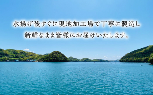 対馬産　西のとろあなご　にぎり寿司　6PAC《対馬市》【対馬水産】 新鮮 冷凍 寿司 名物 時短 簡単調理 穴子 穴子寿司 あなご 海鮮 魚介 すし 希少 [WAV014]