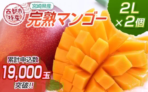 ふるさと納税 宮崎県 西都市 宮崎県産完熟マンゴー3Ｌ×2個　西都市特産品＜1.5-132＞ ふるさと納税 西都市 先行受付『2L×2玉』西都市産完熟マンゴー2玉