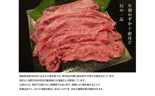 [№5852-0387]大川原高原牛　赤身モモしゃぶしゃぶ　500g［和牛 希少 佐那河内 さなごうち 大川原高原 牛肉 鍋  赤身 もも肉 贅沢 あっさり 冷しゃぶ サラダ 牛丼 弁当 レシピ 冷凍 ギフト 贈答］