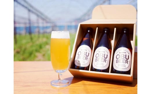 【８月発送】巨峰を使ったすっきりな味わいのクラフトビールOBUBEER【巨峰】 3本と大府産巨峰１キロのOBUセット