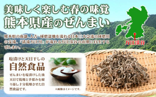 熊本県 山江村産 干しぜんまい 100g(50g×2袋) 藤田商店《30日以内に出荷予定(土日祝除く)》 熊本県 球磨郡 山江村 ぜんまい 天日干し ゼンマイ 自然食品 ビビンバ ナムル