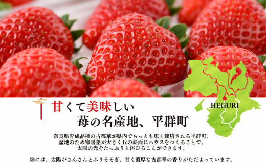 【定期便2回】いちご 平群の古都華 2L ～ 3L サイズ （2パック×2回）計4パック 扇田農園 | 果物 くだもの フルーツ 苺 イチゴ いちご ストロベリー 古都華 ことか 旬の品種  奈良県 平群町