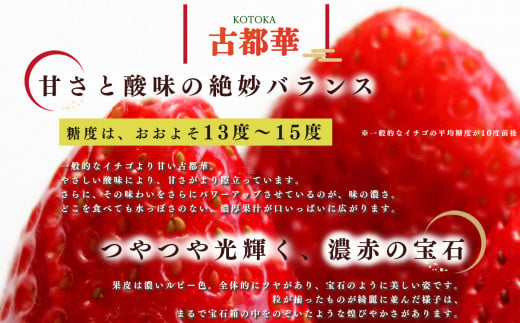 【定期便2回】いちご 平群の古都華 2L ～ 3L サイズ （2パック×2回）計4パック 扇田農園 | 果物 くだもの フルーツ 苺 イチゴ いちご ストロベリー 古都華 ことか 旬の品種  奈良県 平群町