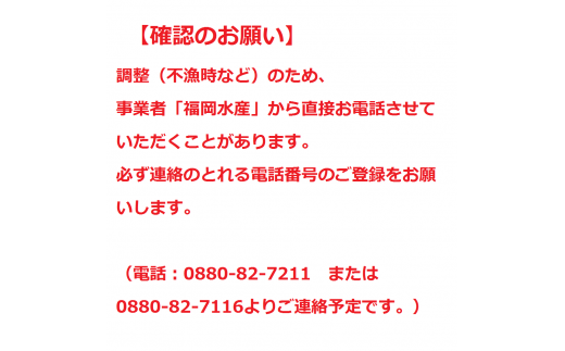 伊勢海老2.3kg（サイズおまかせ高知県産）※着日指定不可※エビ 甲殻類 海鮮BBQ アウトドア キャンプ お祝い【R00724】