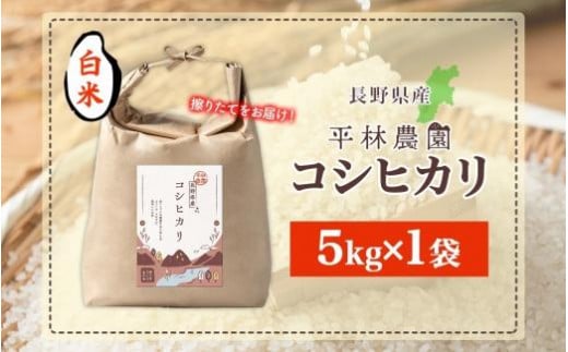 令和6年産 コシヒカリ 白米 5kg×1袋 長野県産 米 精米 お米 ごはん ライス 甘み 農家直送 産直 信州 人気 ギフト お取り寄せ 平林農園 送料無料 長野県 大町市