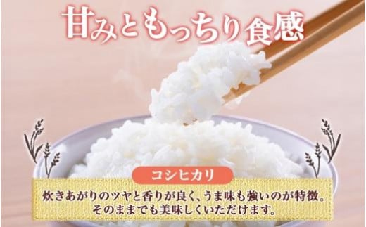 令和6年産 コシヒカリ 白米 5kg×1袋 長野県産 米 精米 お米 ごはん ライス 甘み 農家直送 産直 信州 人気 ギフト お取り寄せ 平林農園 送料無料 長野県 大町市