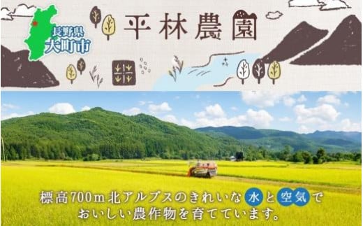 令和6年産 コシヒカリ 白米 5kg×1袋 長野県産 米 精米 お米 ごはん ライス 甘み 農家直送 産直 信州 人気 ギフト お取り寄せ 平林農園 送料無料 長野県 大町市