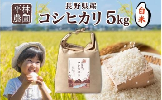 令和6年産 コシヒカリ 白米 5kg×1袋 長野県産 米 精米 お米 ごはん ライス 甘み 農家直送 産直 信州 人気 ギフト お取り寄せ 平林農園 送料無料 長野県 大町市