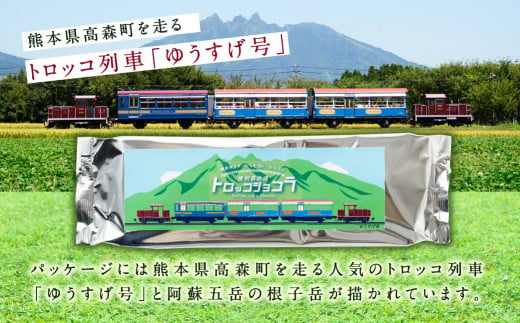 南阿蘇鉄道トロッコショコラ 10本