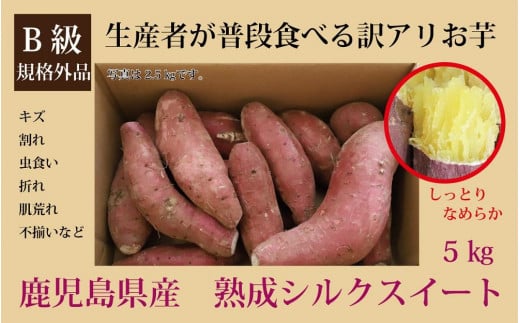 2月末までに出荷 訳あり シルクスイート 5kg ( 1箱 ) 熟成 さつまいも  鹿児島県産