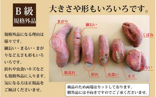 2月末までに出荷 訳あり シルクスイート 5kg ( 1箱 ) 熟成 さつまいも  鹿児島県産