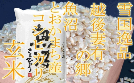 ●定期便・玄米●【雪国逸品4kg×12ヶ月】 越後妻有の郷 魚沼十日町産コシヒカリ