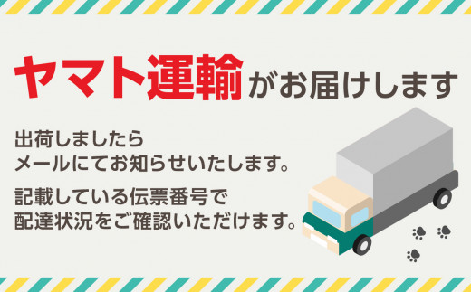 染の里おちあい　御朱印帳　江戸更紗丸紋(黄)