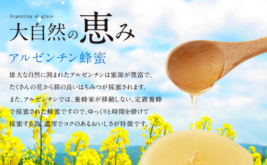 はちみつ 専門店【かの蜂】 アルゼンチン産 純粋はちみつ PURE HONEY 500g×2本