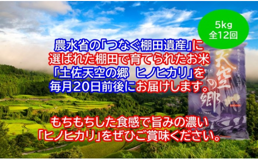 農林水産省の「つなぐ棚田遺産」に選ばれた棚田で育てられた 土佐天空の郷 ヒノヒカリ 5kg定期便  毎月お届け　全12回