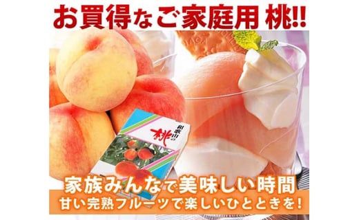 和歌山県産 白鳳11～16玉入り≪ご家庭用≫【2023年6月下旬以降発送】【数量限定】