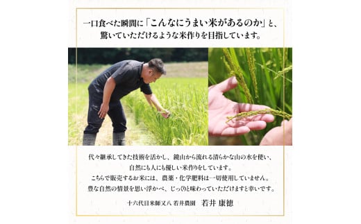 令和6年産 新米 にこまる 30kg ( 10kg × 3袋 ) 天日干し ( 2024年産 ブランド 米 rice 精米 白米 ご飯 内祝い もちもち 国産 送料無料 滋賀県 竜王 ふるさと納税 )