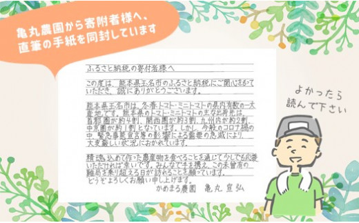 『かめまる農園』ミニトマト アイコ 3kg 熊本県玉名市産 | 野菜 やさい トマト とまと ミニとまと 熊本県 玉名市