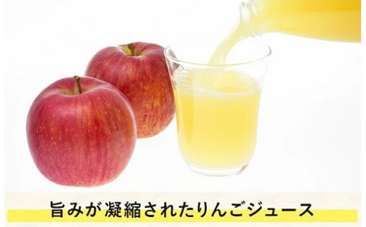 信州産 りんごジュース [ サンふじ ] 180ml × 10本 泉が丘喫茶室 沖縄県への配送不可 2023年4月中旬頃から2023年11月上旬頃まで順次発送予定 飲料 果汁飲料 りんご リンゴ 林檎 ジュース ストレート 信州 15000円 長野県 飯綱町 [1135]