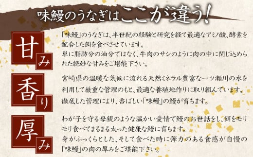 新仔!!味鰻うなぎ蒲焼3尾（無頭）・鰻丼の素6袋セット（きざみ）本格手焼備長炭蒲焼 化粧箱入 熨斗対応可【E164-2311】